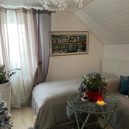 Ferienwohnung Pension Am Berg Villingen-Schwenningen Ngoại thất bức ảnh