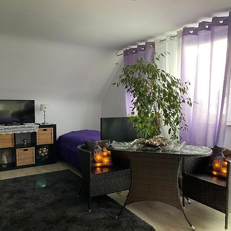 Ferienwohnung Pension Am Berg Villingen-Schwenningen Ngoại thất bức ảnh